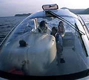 ハードトップ(屋根)