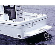 トランサムステップ&ラダー