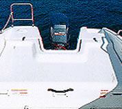 大型スタンハッチ