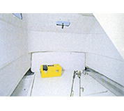 センターカディ