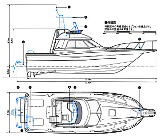 SF-31 線図